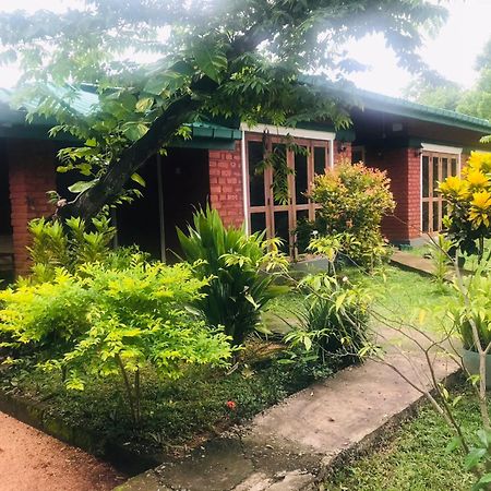 Sunshine Resort & Spa Sigiriya Bagian luar foto