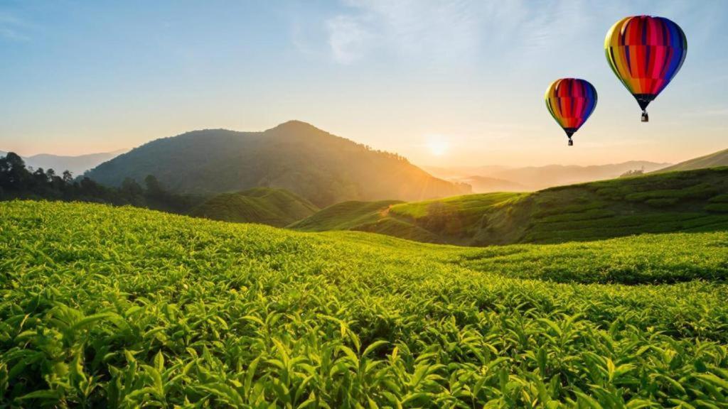 Sunshine Resort & Spa Sigiriya Bagian luar foto