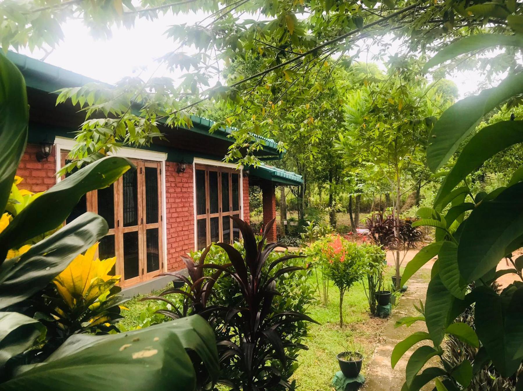 Sunshine Resort & Spa Sigiriya Bagian luar foto