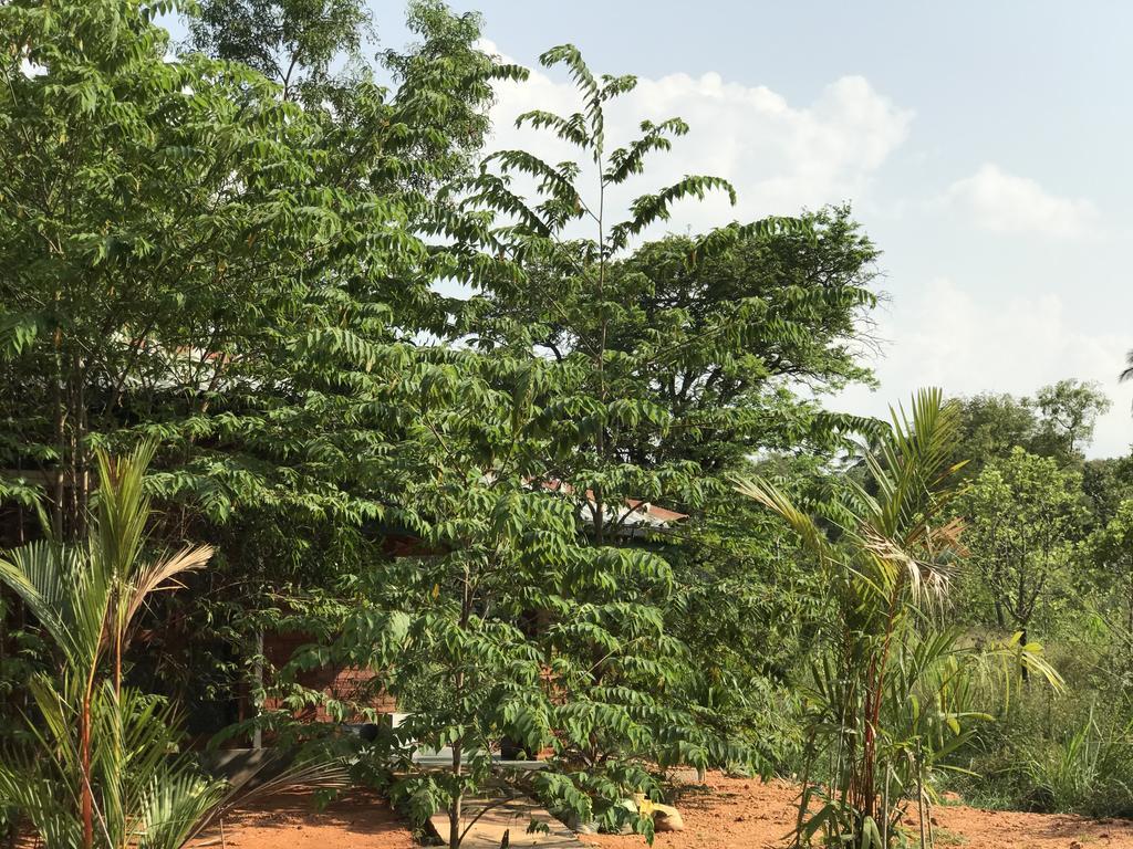Sunshine Resort & Spa Sigiriya Bagian luar foto