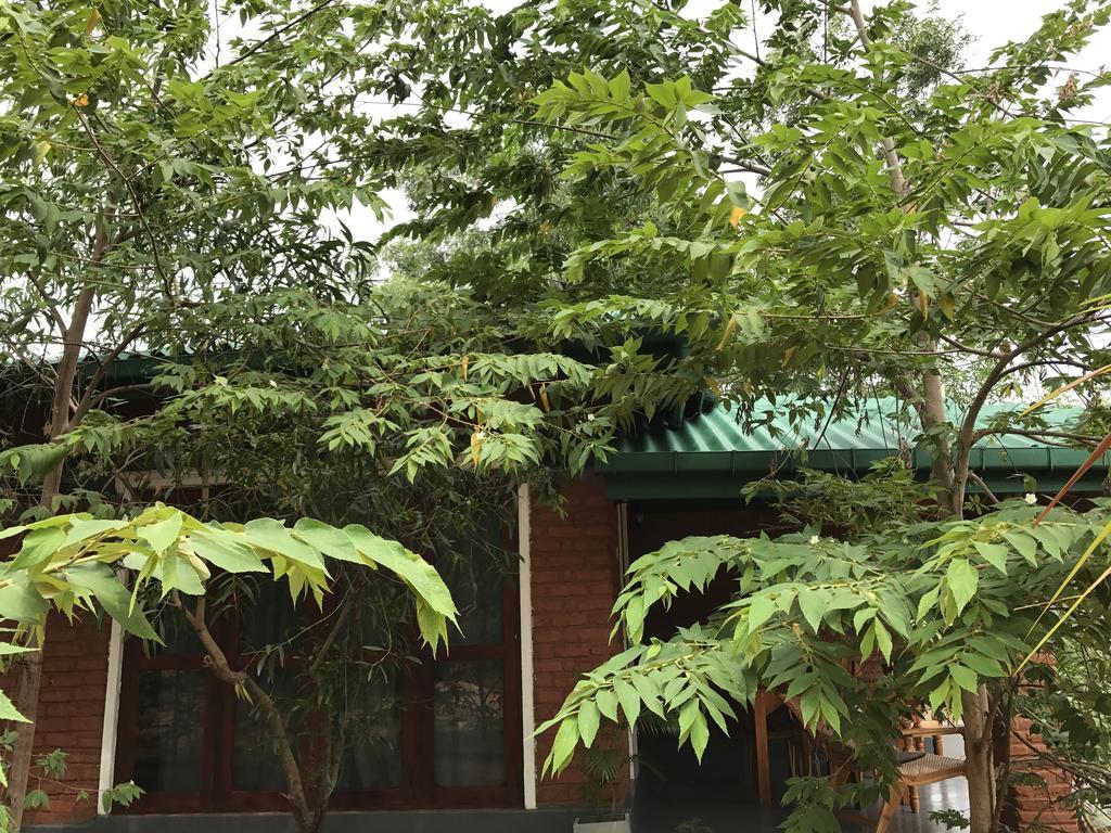 Sunshine Resort & Spa Sigiriya Bagian luar foto