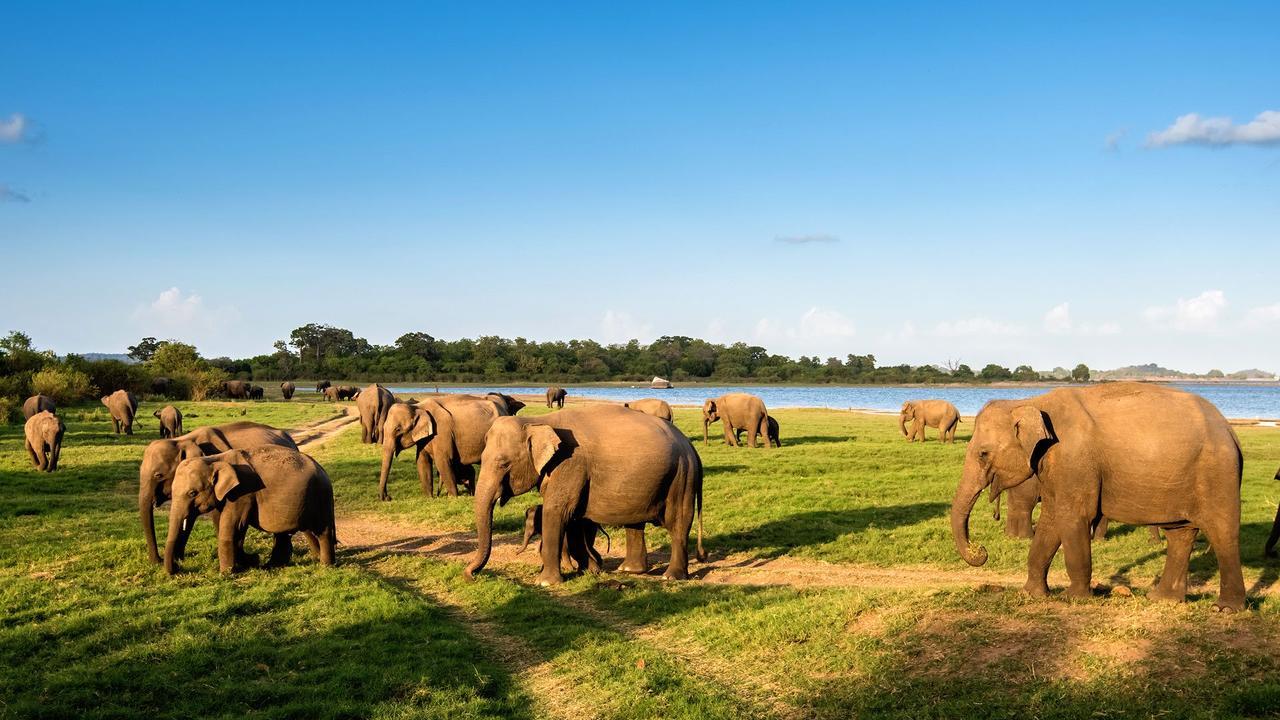 Sunshine Resort & Spa Sigiriya Bagian luar foto