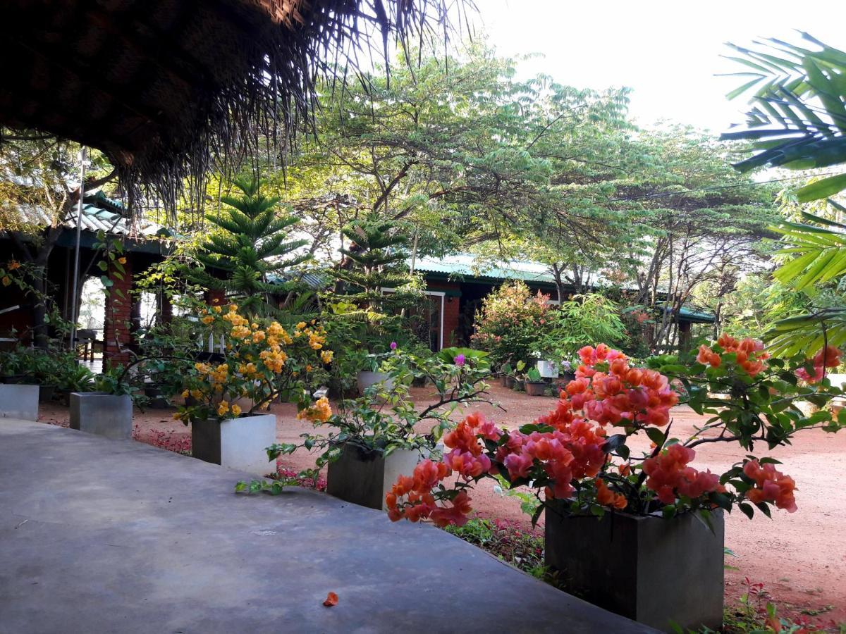 Sunshine Resort & Spa Sigiriya Bagian luar foto